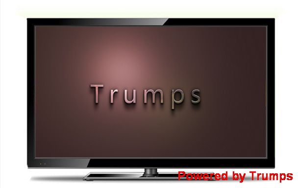 Trumps 23.6-inch LCD monitor
