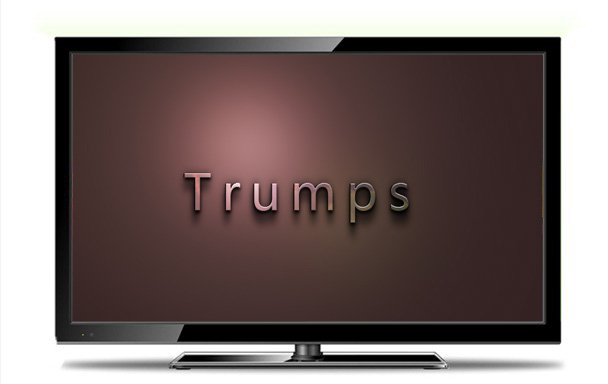Trumps 21-inch LCD monitor