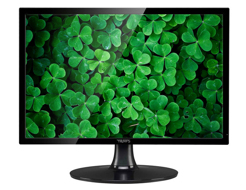 Trumps 21-inch LCD Monitor