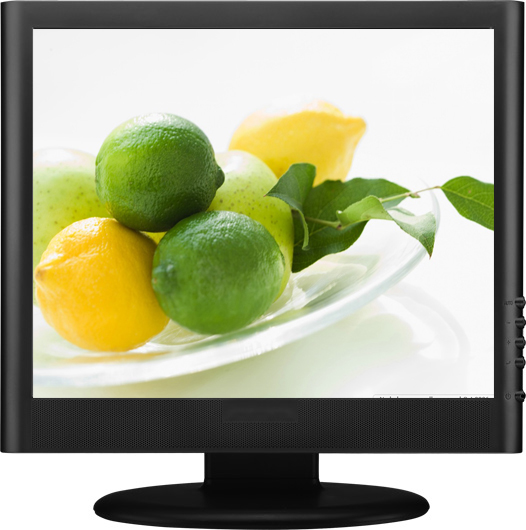 Trumps 15-inch LCD monitor